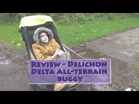 delta buggy second hand