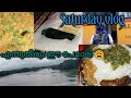 day in my life saturday vlog/ easy lunch recipe|palakkadan vadakkini special