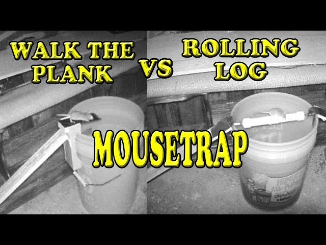 A Better Mouse Trap - The Rolling Log