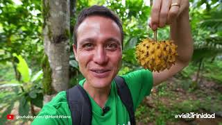 Mark Wiens visits Trinidad and Tobago | Tries over 100 different types of food, drink & ingredients!