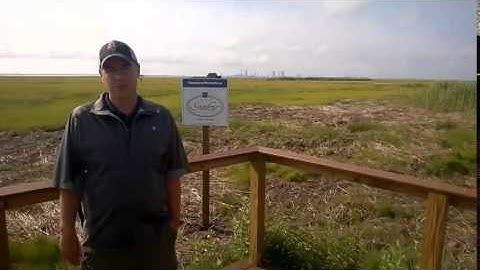 Introduction to the #SeaviewPhotoZone