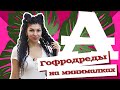 AfroMari Выпуск №44 | Как сделать гофродреды всего из 36 косичек