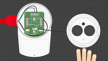 Fireray One Set Up Guide