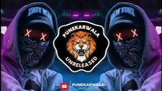 Humne Pakadli Hai || Dhammal Ipl Mix || Its AB Remix || Punekarwala Unreleased