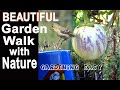 Garden Nature Walk Tips Hummingbirds Birds Food Forest Container Gardening Tomatoes Compost in Place