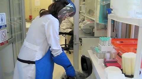 Thawing of cryopreserved PBMC