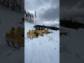 Clearing Spring Snow Off Logging Roads With A Cat D7 And WBM Pioneering Blade Clearing Spring Snow Off Logging Roads With A Cat D7 And WBM Pioneering Blade