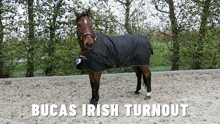 Bucas Irish Turnout | De Kroo Ruitersport
