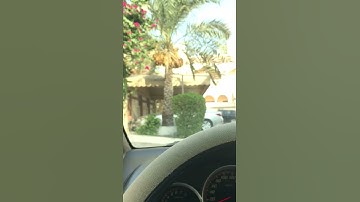 ان الله وملائكته يصلون على النبي تلاوة في قمة الابداع بصوت قيس العليان