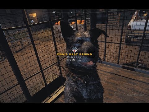 Video: Kako Pronaći Psa