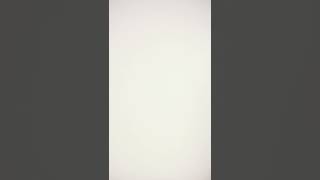 Triumph Beautiful Silhouette Bra