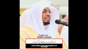 ألم يروا الى الطير مسخرات تلاوة ليس لها مثيل في قمة الخشوع تحبر من الشيخ #ياسر_الدوسري