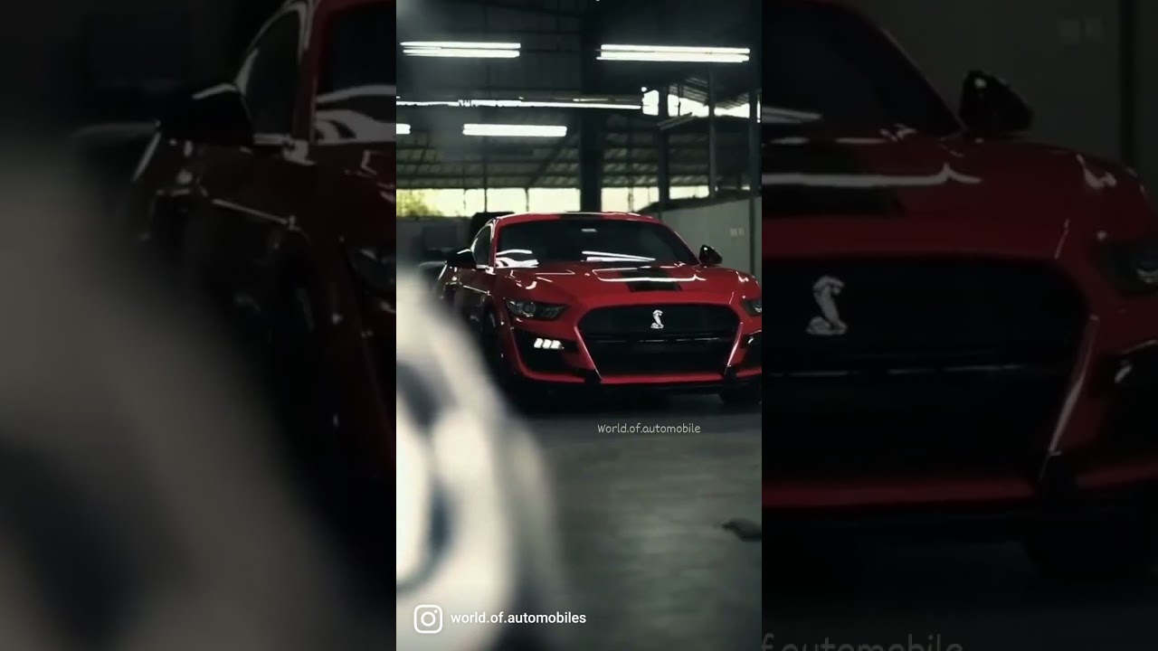 Shelby Mustang | Black Beast Cars | 