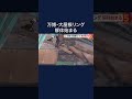 大阪・関西万博のシンボル「大屋根リング」解体作業が開始…一部木材が能登半島地震の復興住宅に再利用へ #shorts #万博