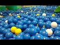 Ball pit surprise