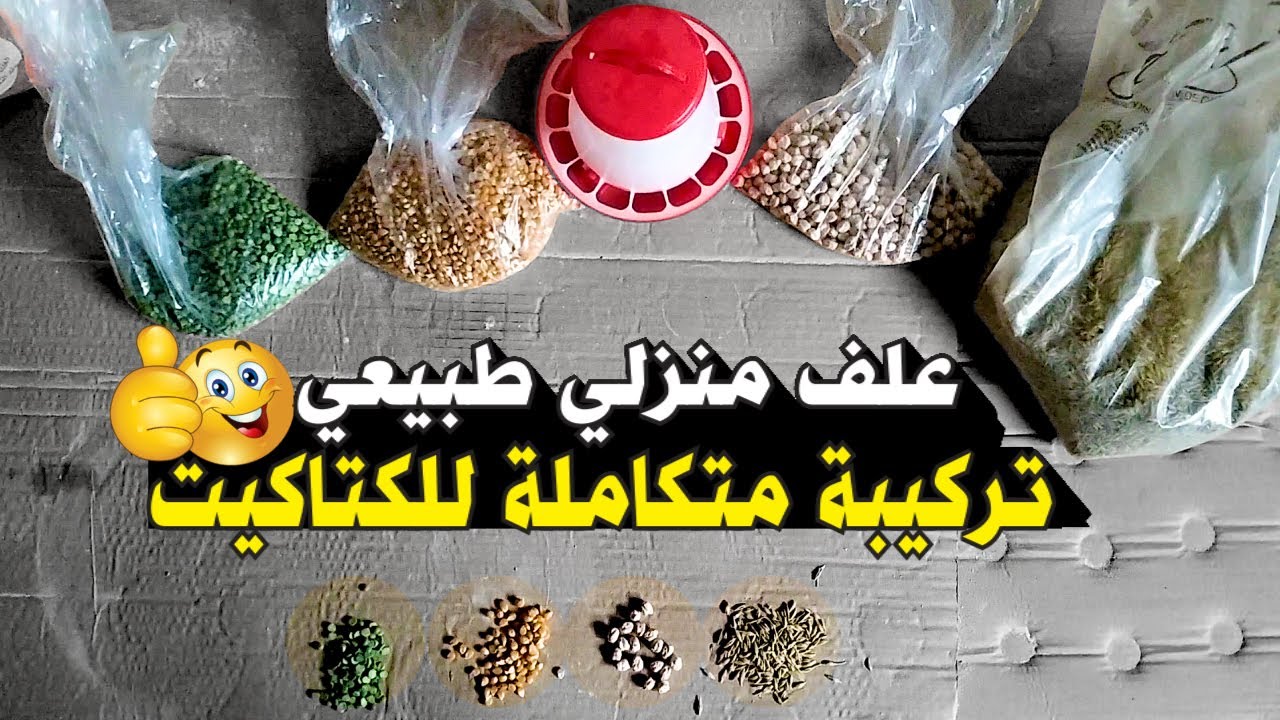 صناعة الأعلاف في المنزل 💥 أفضل علف صحي و طبيعي للكتاكيت 🐤🐥