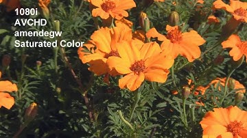 Sony Vegas Pro high quality render for YouTube and Vimeo using VirtualDub. Test 5