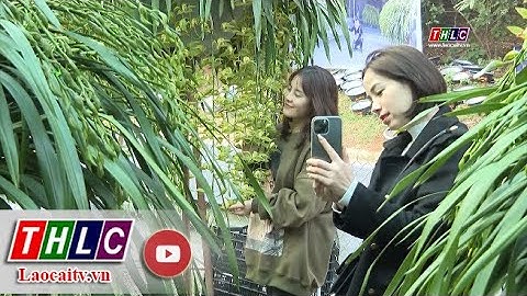 Dân tộc và phát triển: : Tổng kết công tác Dân tộc năm 2022 (10/1/2023) | THLC