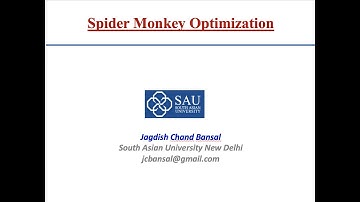 Spider Monkey Optimization Part 1/3