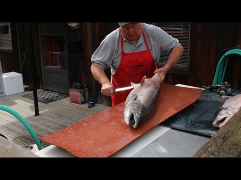 Video: Beg Salmon