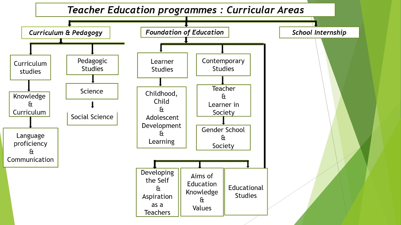 teacher education curriculum
