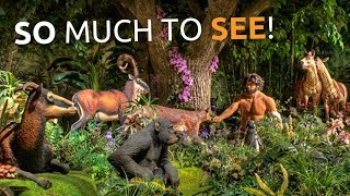 A Sneak Peek of What You’ll Experience at the Creation Museum
