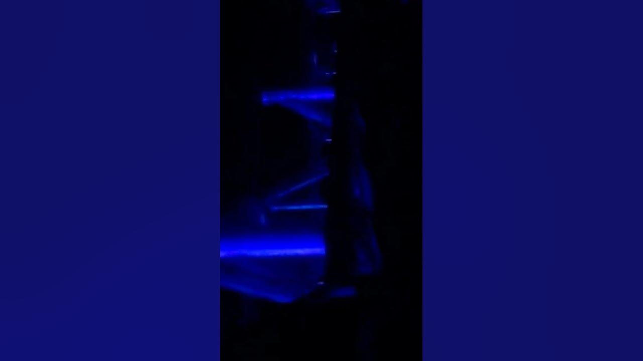 millennium force