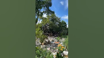 Clean 20 tons of trash in 4 hours #saigonxanh #sgx