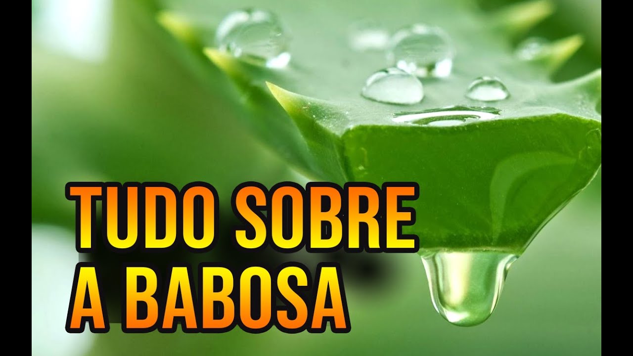 #BABOSA (ALOEVERA)TUDO SOBRE ESSA SUPER PLANTA