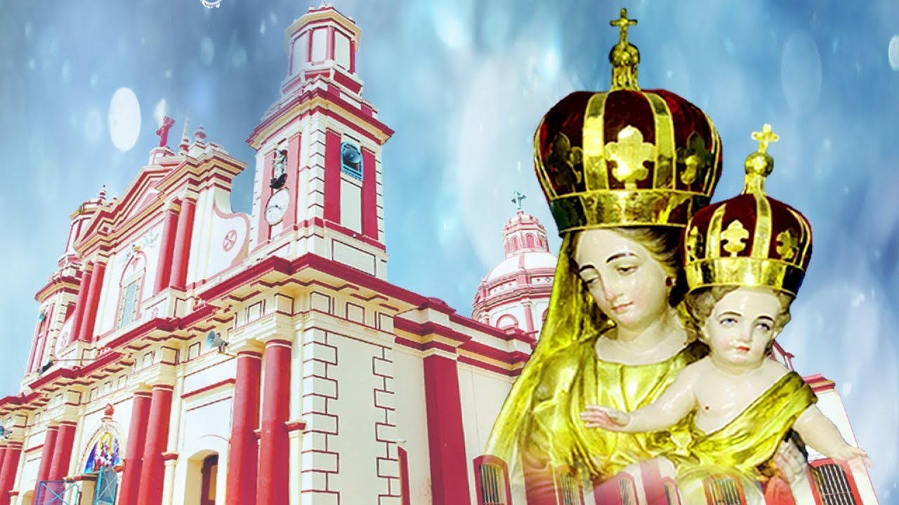 LIVE - 09-11-2023 | ஜெபவழிபாடு நற்கருணை ஆராதனை திருப்பலி | Our Lady of Assumption Church NELLITHOPE