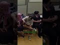 Stealing?! (Part 2 is up!) - Secret Life Panel at Närcon Sommar 2025