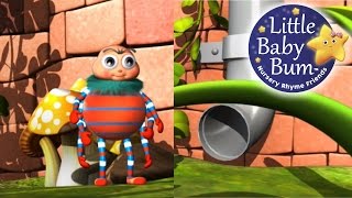 Video thumbnail of "Incy Wincy Spider | LittleBabyBum - Nursery Rhymes for Babies! ABCs and 123s | LBB"