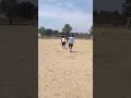 VID 20190424 115849