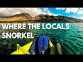 Where to Snorkel on Maui, Hawaii | Top 5 Maui Snorkel Spots + Where the Locals Love to Go