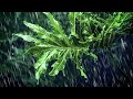 Rain Sounds For Sleeping Black Screen Relaxing White Noise Rain Sounds For Sleeping Black Screen Relaxing White Noise