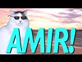 HAPPY BIRTHDAY AMIR! - EPIC CAT Happy Birthday Song