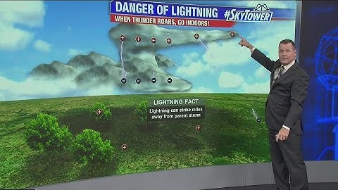This is why standing under trees during a storm is dangerous