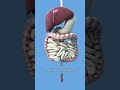 This Organ Is a Living Ecosystem Inside Your Body