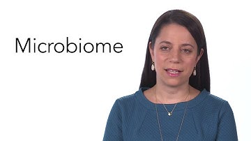 Understanding Multiple Sclerosis: Possible Causes of MS