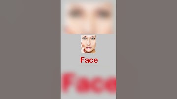 Learn Parts of the Body | Fun & Educational Video for Kids 🎉🧠