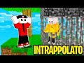 HO INTRAPPOLATO ZEYXON PER SEMPRE NELLA BIG SKYBLOCK - Ep. 30