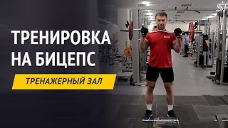Как накачать красивый бицепс. Тренировка на бицепс Как накачать красивый бицепс. Тренировка на бицепс
