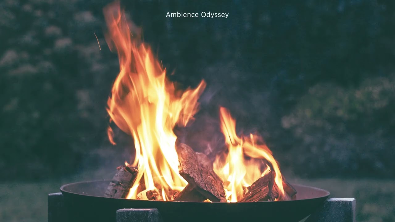 ASMR 초저녁 들판에서 듣는 모닥불 타는 소리