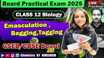 To perform Emasculation , bagging , tagging for controlled pollination | BIOLOGY Practical Exam 2025