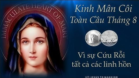 Kinh Mân Côi Toàn Cầu (4 Chuỗi) Tháng 8.