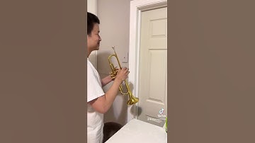 Thumbnail of Wake up and get off your call #sammy #wakeup #funny #call #trumpet #stupid #alex #edgemont