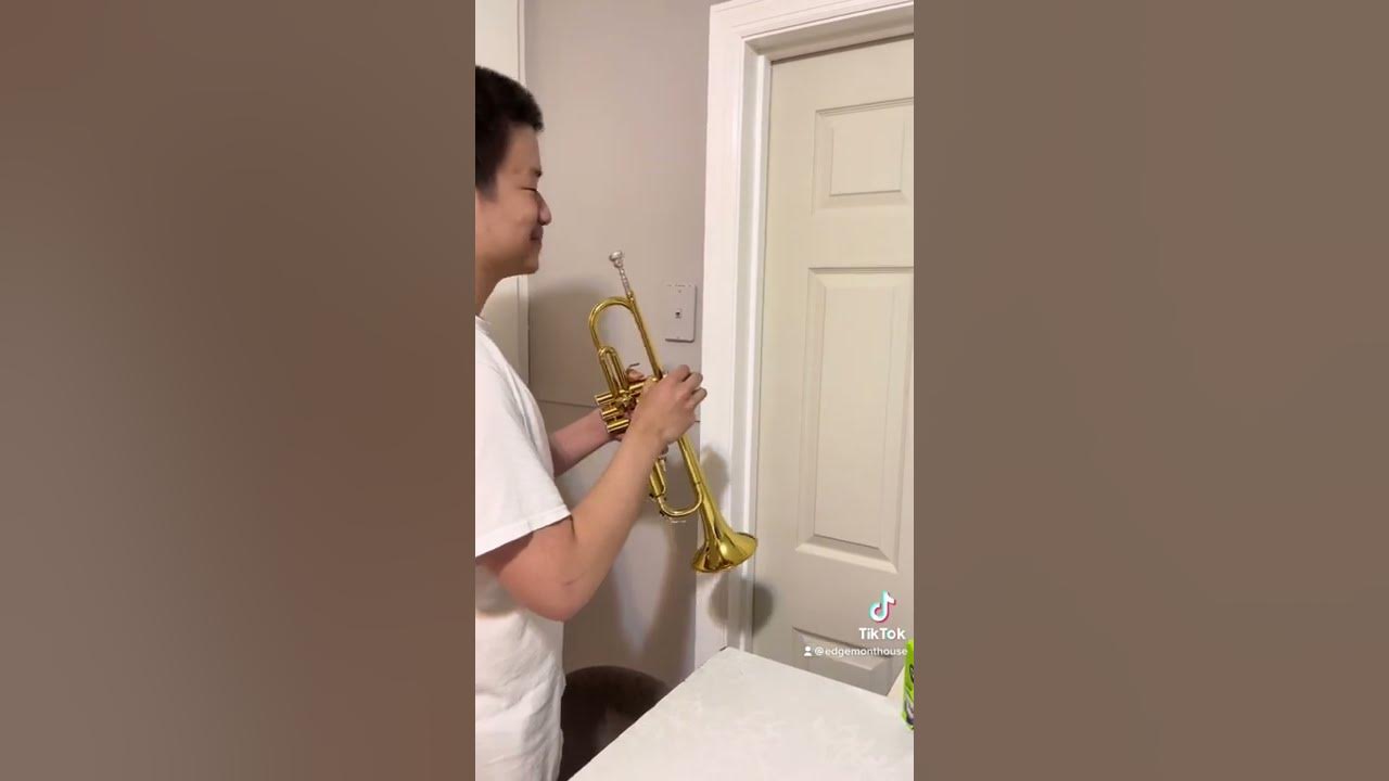 Wake up and get off your call #sammy #wakeup #funny #call #trumpet #stupid #alex #edgemont