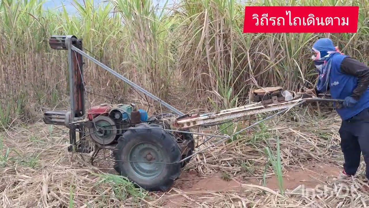 รถไถเดินตามติดเครื่องตีใบอ้อย