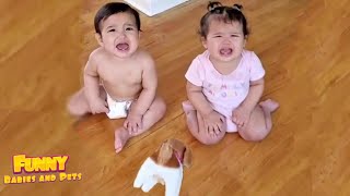 You Laugh You Lose 🤣 Cute Babies Get Into Trouble Again - Funny Baby Videos
