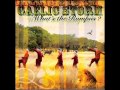 Gaelic Storm - Floating the Flambeau